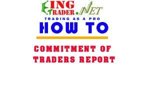 [Lesson 4] INSIDER TRADING INFORMATION: Commitment of Traders Report.