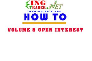 [Lesson 3] FOREX TRADERS CAN BENEFIT FROM FUTURES MARKETS INFO – Volume & Open Interest